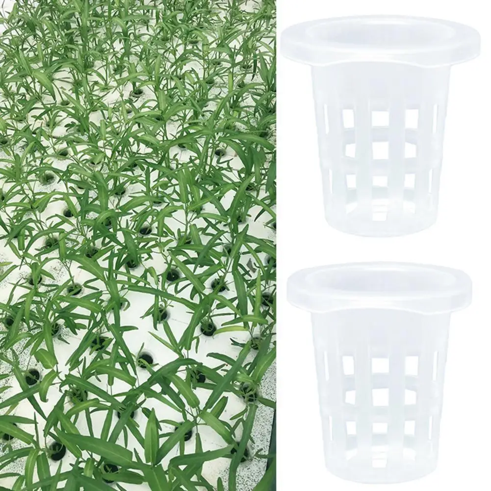 

50Pcs Hydroponic colonization Mesh Pot Net Cup Basket Hydroponic Aeroponic Planting Grow Clone Nursery Plant Soilless
