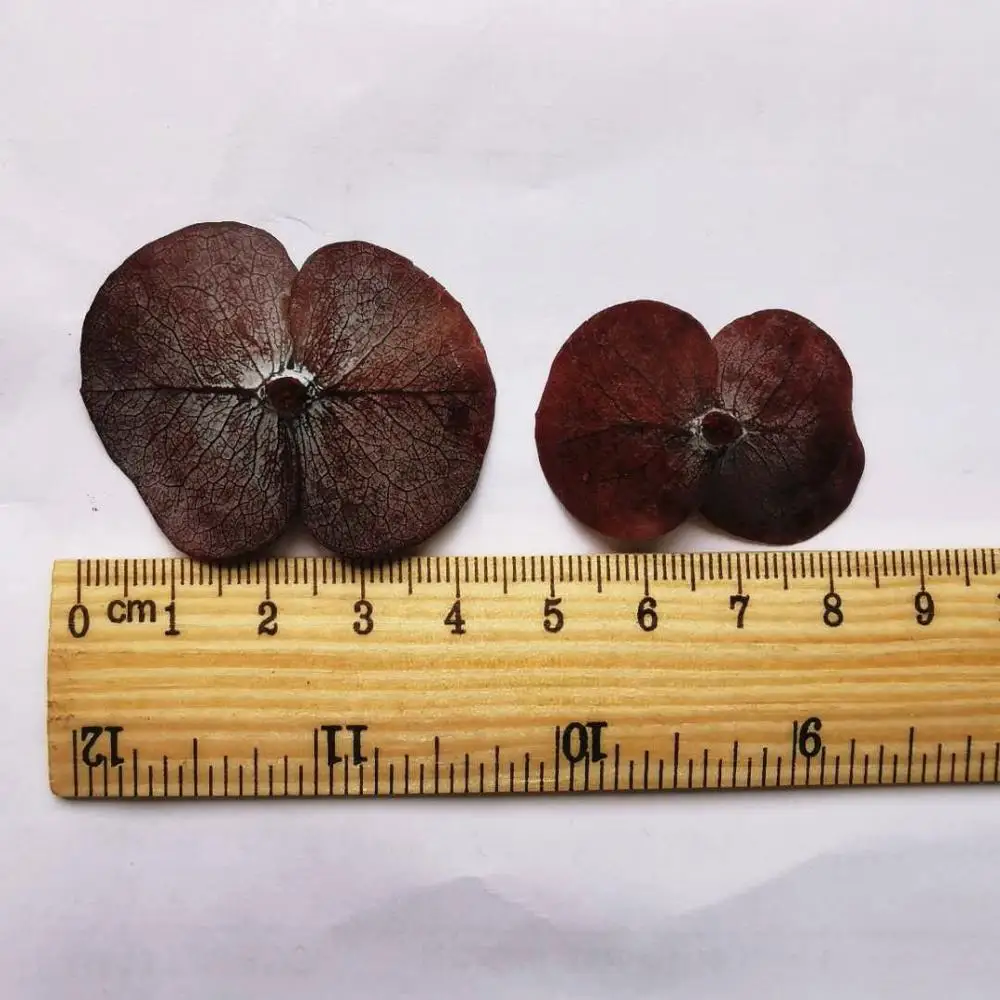 Натуральные свежие консервированные листья эвкалипта поделки из настоящего