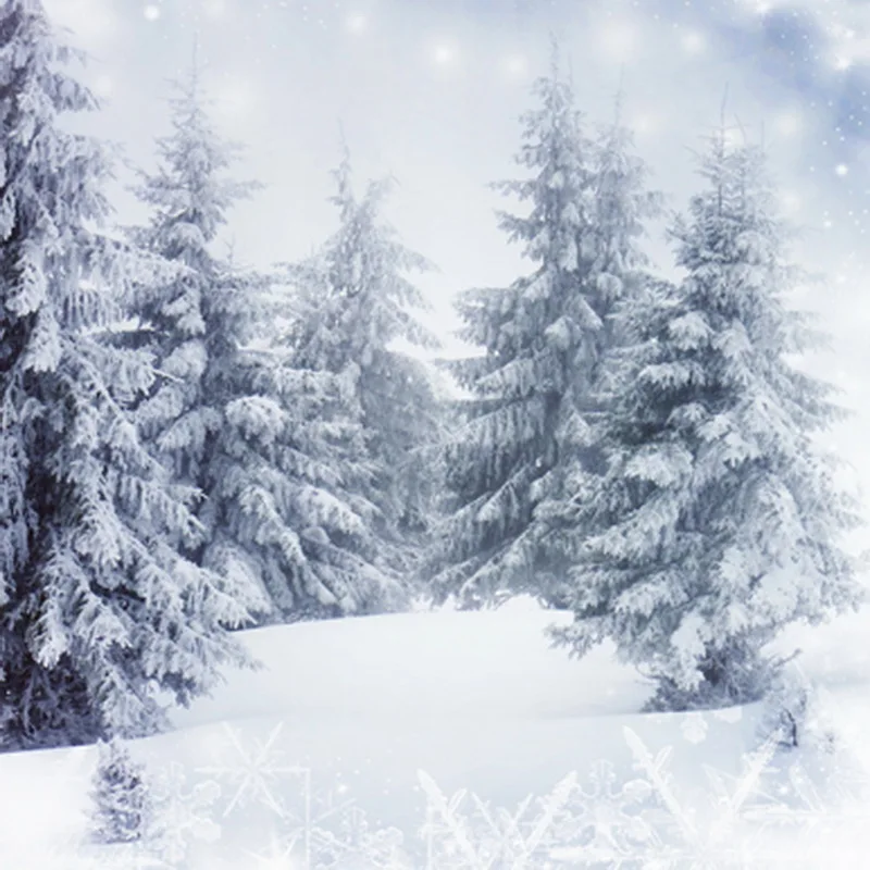 

10x10 футов снежные хлопья Зимняя Страна Чудес сосна лес серый небо пользовательский фон фотостудия фон винил 300 см x 300 см
