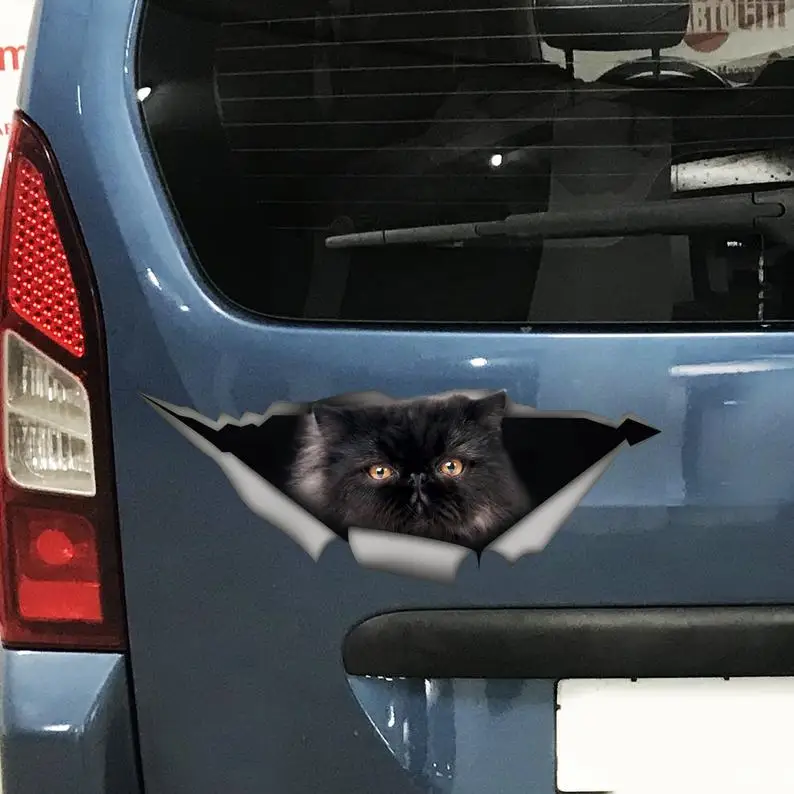 

2021 Black Persian cat car sticker, cat car decal, Persian cat magnet