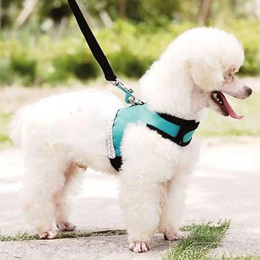 Hobbyлейн Изысканная сетка собачья грудь поводок домашнее животное платье юбка