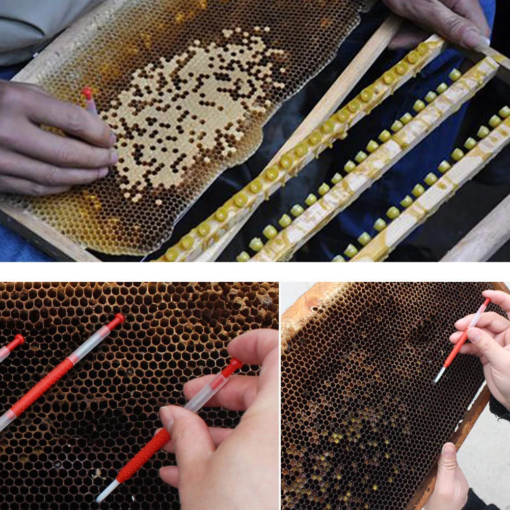 

10Pcs Bee Shift Grafting Needle Beekeeping Queen Larvae Insect Pest Rearing Tool