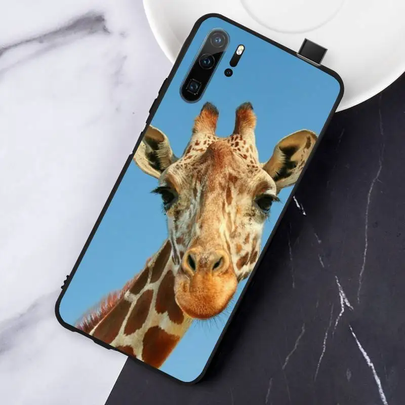 

giraffe cartoon fashion carcasa Phone Case For Huawei honor Mate P 10 20 30 40 Pro 10i 9 10 20 8 x Lite