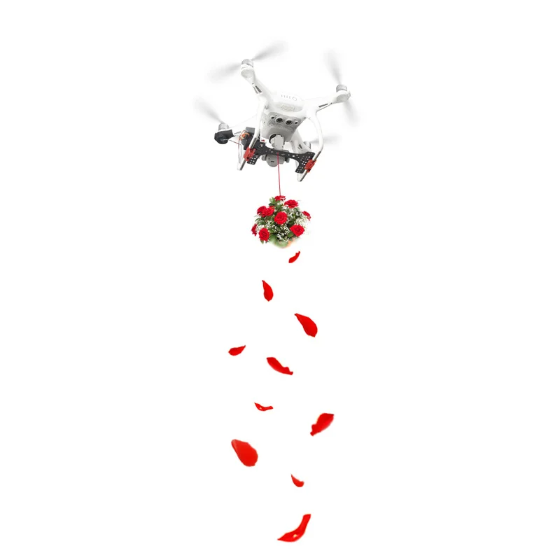 

Phantom 4 Air Dropping System Shinkichon Pelter Fishing Gifts Delivery Thrower for DJI Phantom 4/4A/4P/V2.0 Drone Accessories