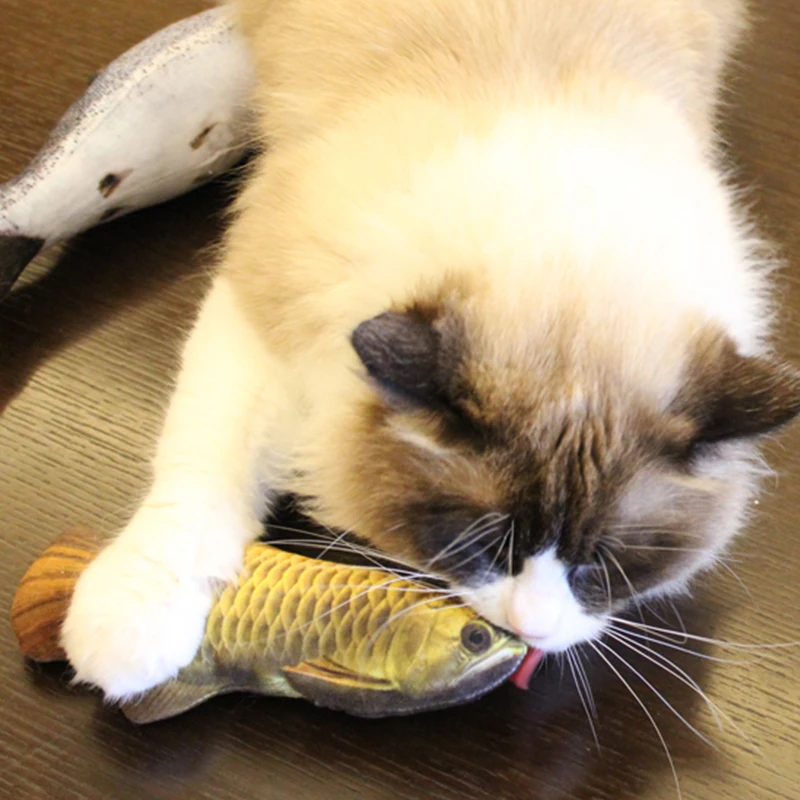 Мягкая Плюшевая креативная 3d игрушка для животных в форме карпа кошки подарки