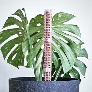17cm Climbing Plant Pole Sphagnum Moss Sticks Plant Growing Support Plant Support Frame Mesh Pole Fiber Creeper Trelli Frame