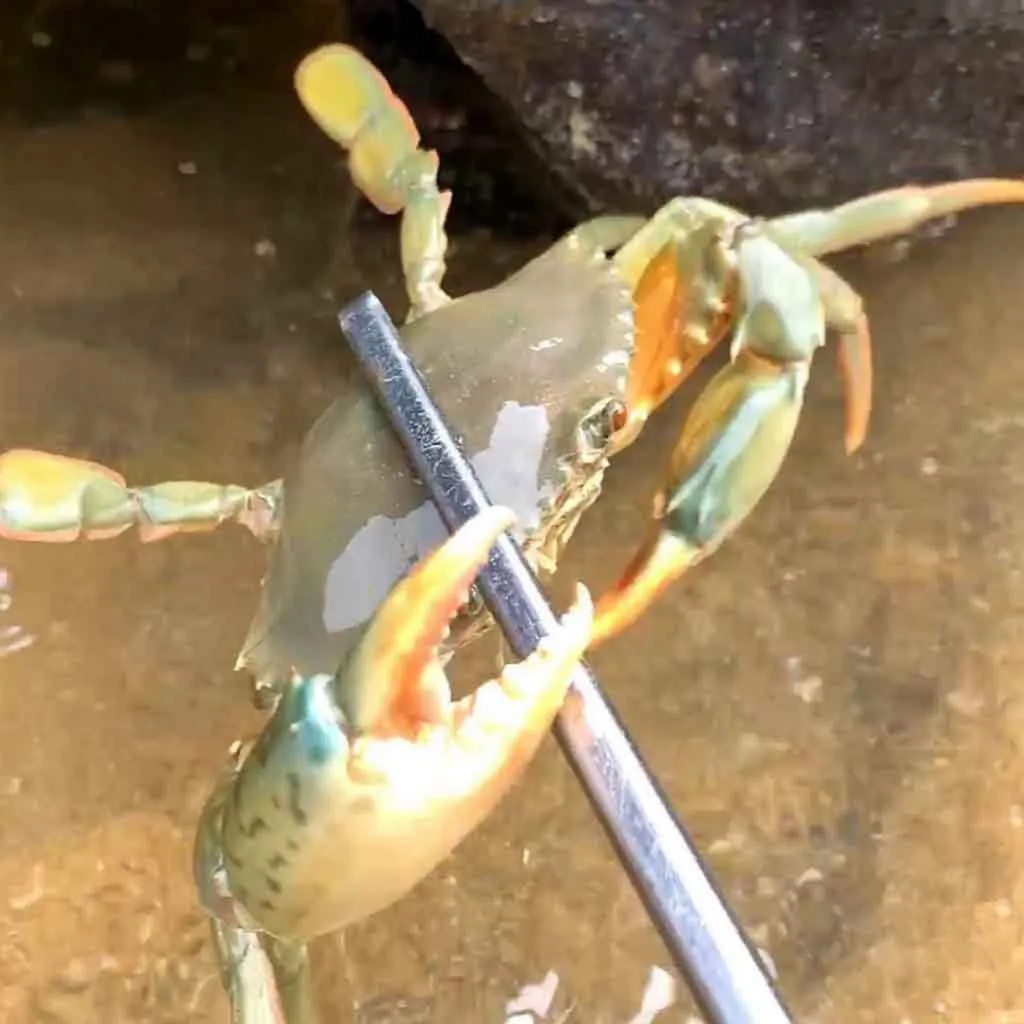 Усиленный многофункциональный зажим противоскользящий инструмент для морского