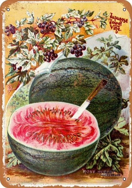 

New Vintage Retro Metal Tin Sign Watermelons Outdoor Street & Home Bar Club Kitchen Restaurant Wall Art