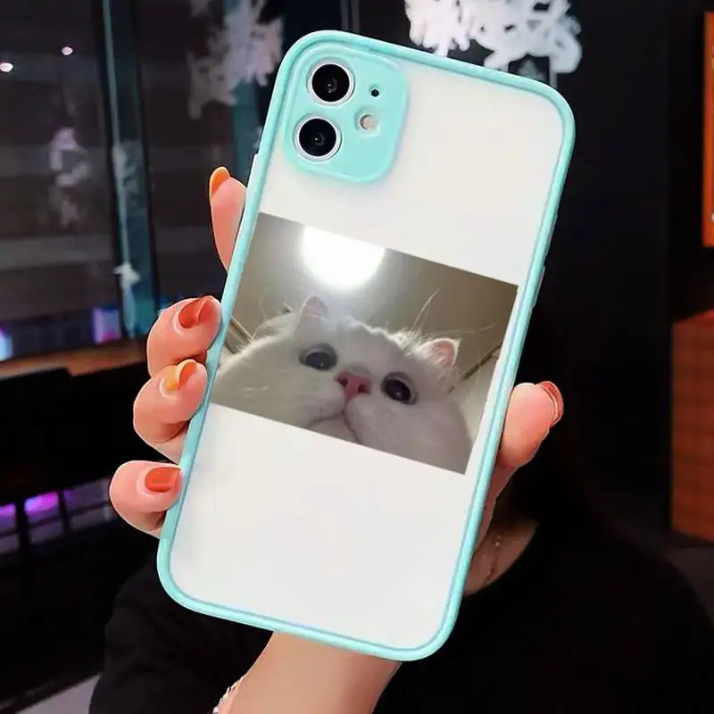 

Cute Cats New Year Gifts Phone Cases Matte Transparent For iPhone 12 Mini 11 Pro XR XS Max 7 8 Plus