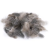 small guinea fowl pheasant feathers natural feathers spotted loose 5 8cm feathers for crafts with white polka dots plume decor