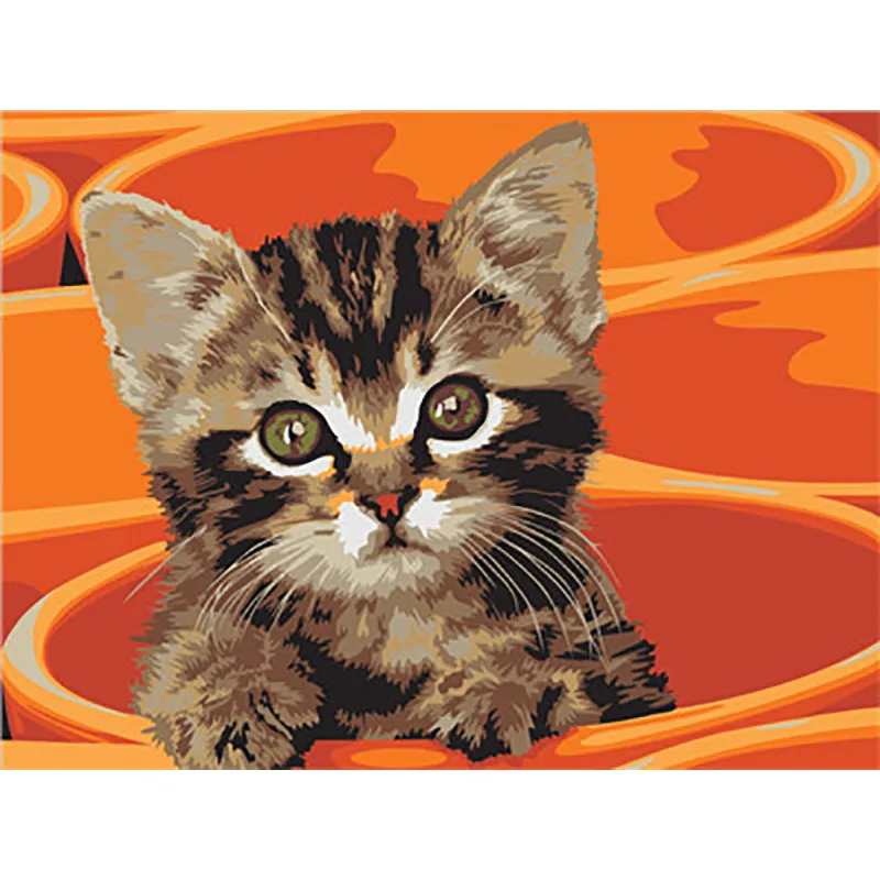Cat 16 Рамка Животные Кошки Сделай Сам Набор для рисования по номерам Современная Настенная художественная картина холст краски уникальный подарок для домашнего декора небо gato - Цвет: Cat 16