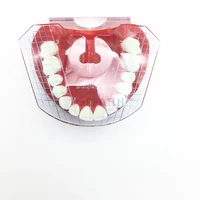 1pcs dental lab dental guide plate teeth arrangement on denture tools dental supply tooth