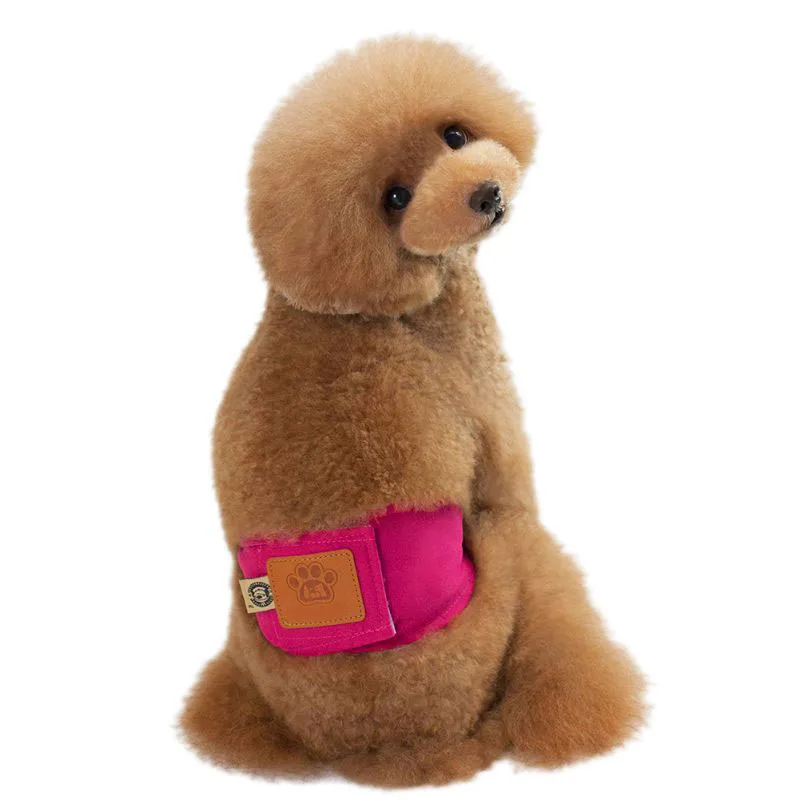 Физиологические штаны для домашних животных собак и кошек можно использовать