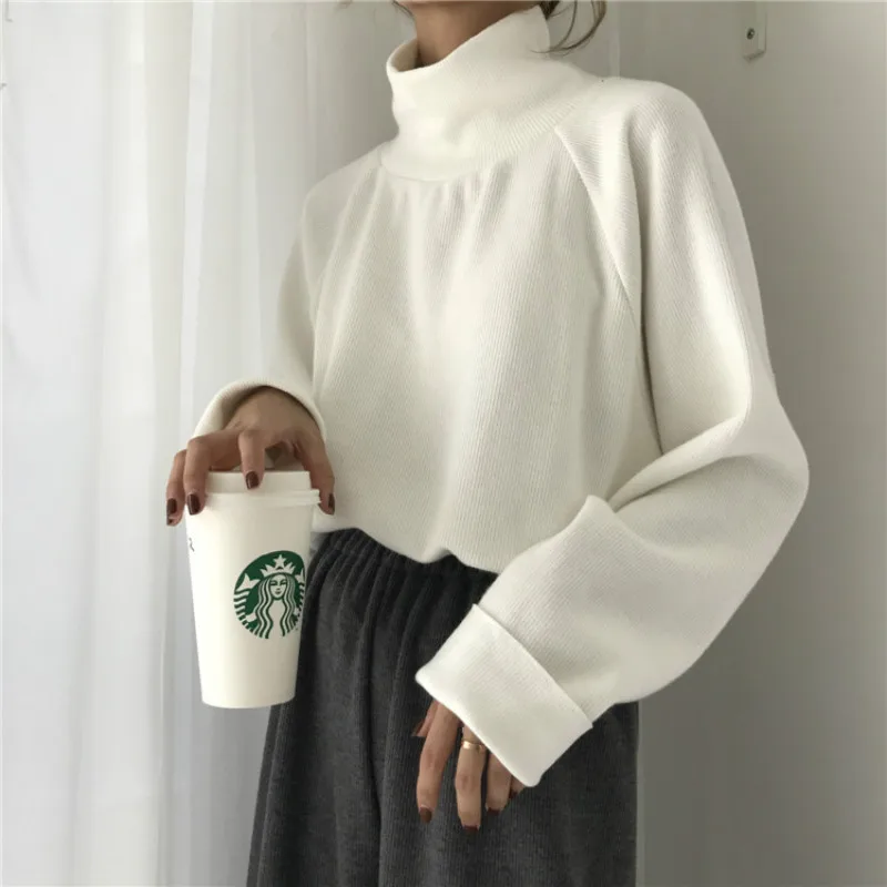 

Korean Cashmere Sweaters Women 2020 New Simple Turtleneck Pullovers Female Knitted Jumpers Crocheted Tops Casual Loose Clothes