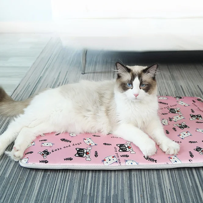 

Cat Pet Electric Blanket Heated Queen Size 40X60cm Thermal Weighted Blanket Heating Pad Bed Warmtedeken Warming Products AB50DRT