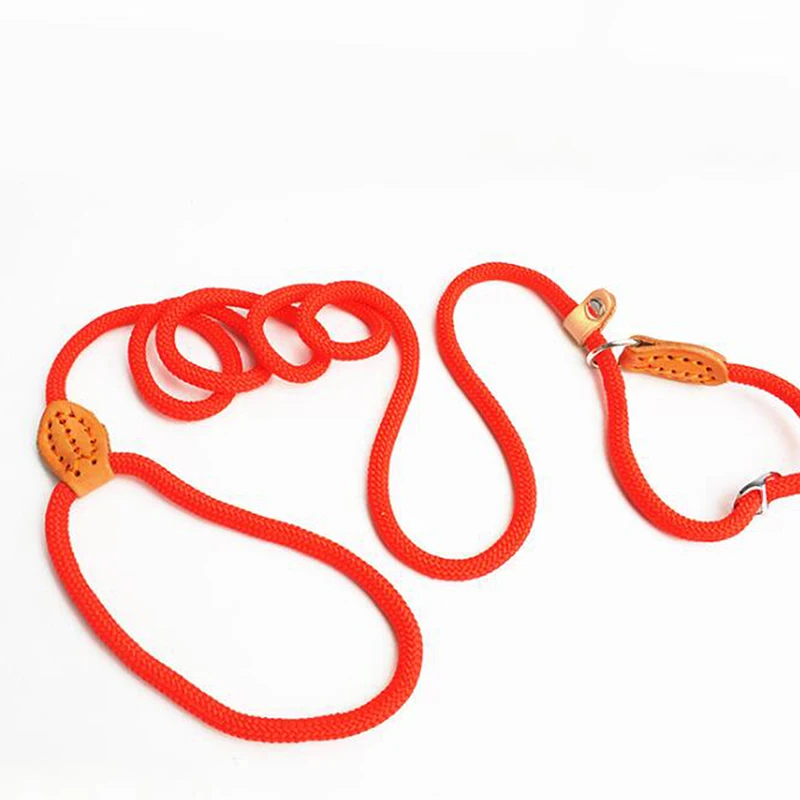 

Outdoor Dog Nylon Leashes Pet Dog Safe Rope Training Walking Training Leashes Pet Dog Leash Pet Accessories 1.2M