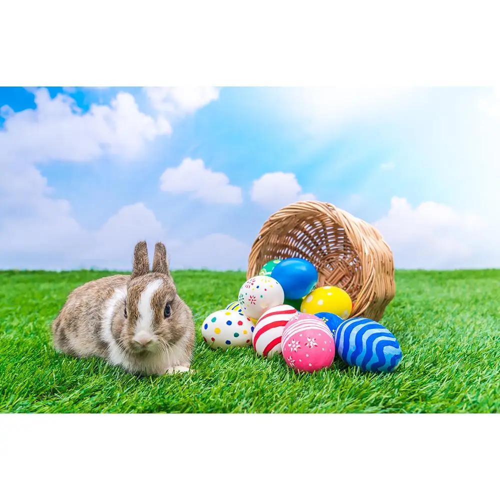 

SHENGYONGBAO Vinyl Custom Photography Backdrops scenery Theme Photo Studio Background 190117SK-08