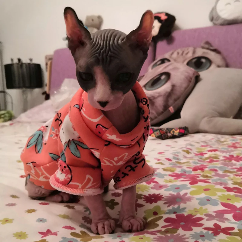Милая одежда для домашних животных, котов для кошек, зимний костюм для кошек, свитер с капюшоном, одежда для щенка любимца, disfraz para gato
