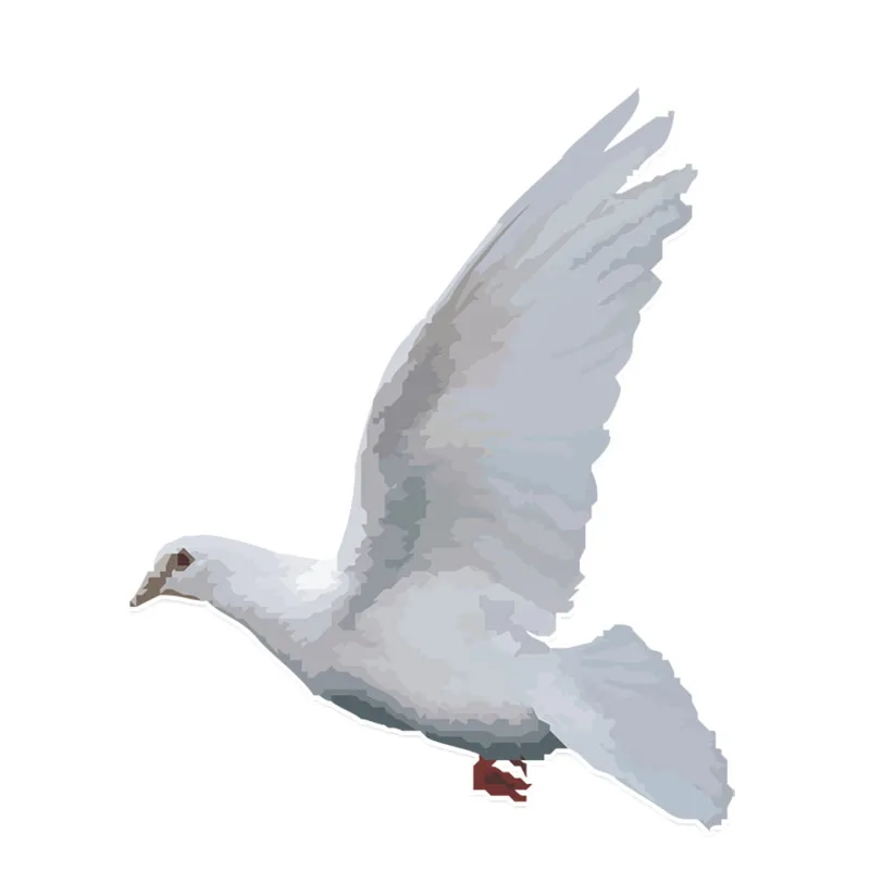 

15cmx12cm Funny pigeon Vinyl Car-Sticker Automobiles Motorcycles Window Bumper Laptop Vinyl Decal PVC Decorative Goods