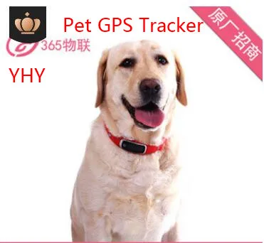 Новинка 2019 водонепроницаемый и пыленепроницаемый ошейник YHY для домашних
