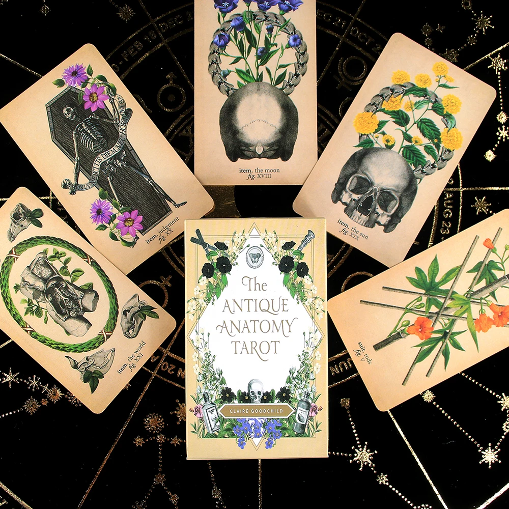 

The Antique Anatomy Tarot 78 Cards Deck English Version Classic Tarot Card Oracle Divination Board Games Playing Modern Reader