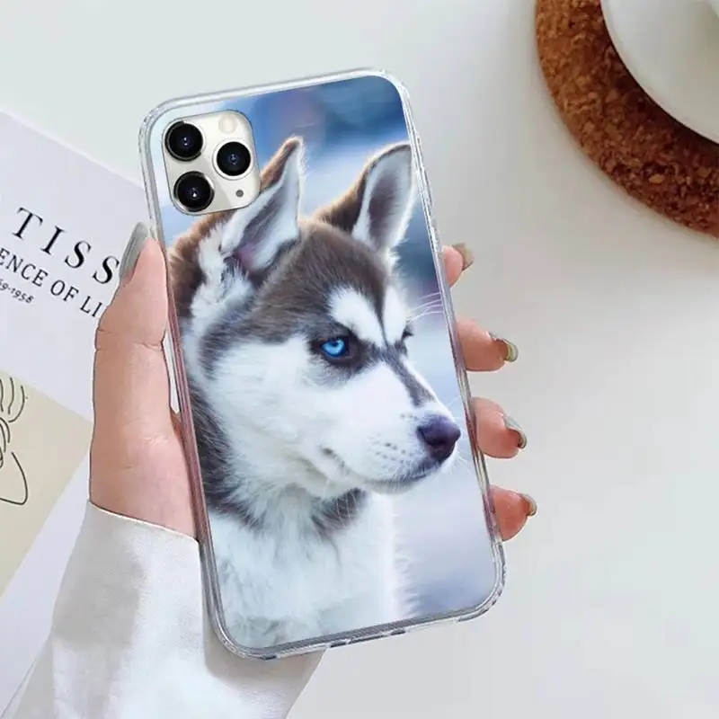 

husky high quality animal high quality Phone Case For iphone 12 5 5s 5c se 6 6s 7 8 plus x xs xr 11 pro max