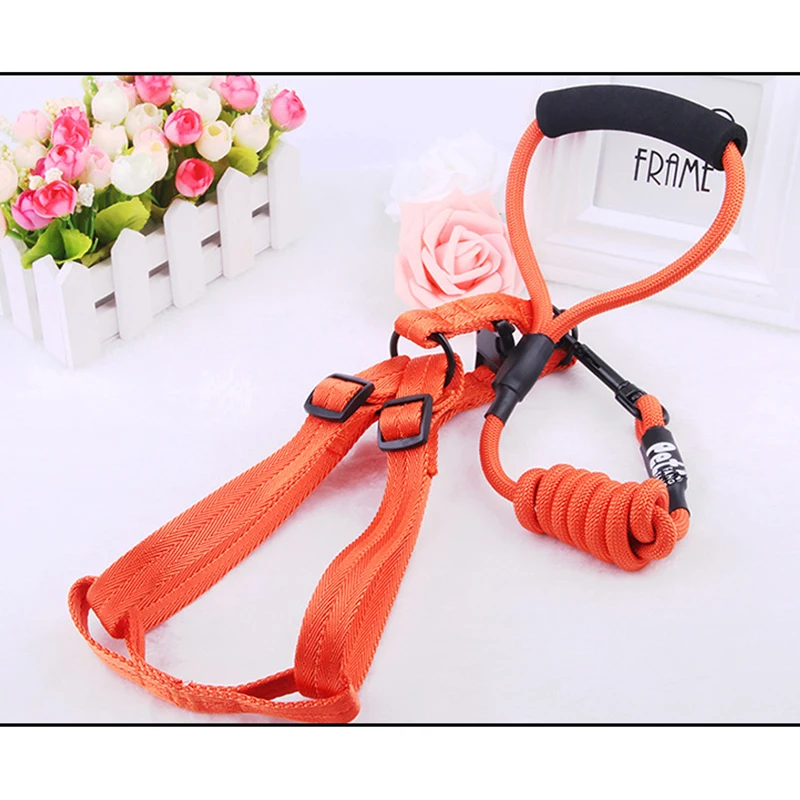Pet Dog Leash Nylon Rope Harness Running Tracking Leashes Long Lead Mountain Climbing For Medium Large | Дом и сад