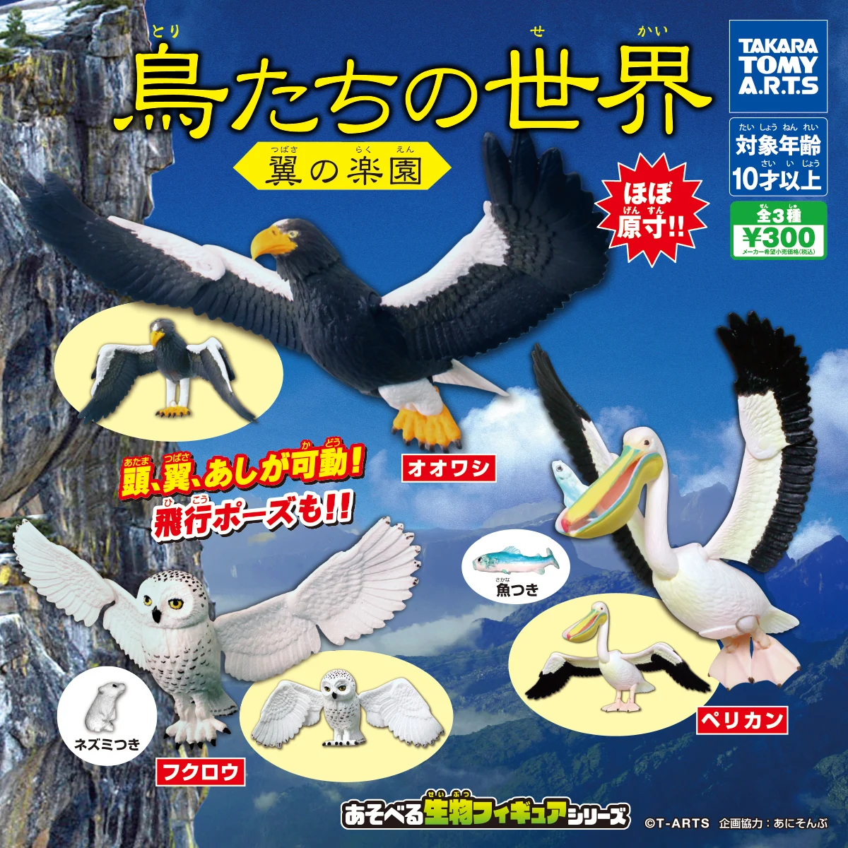 TAKARA TOMY Genuine Gashapon Toys Stellers Sea-eagle Snowy O