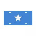 Украшение номерного знака 15 см х 30 см полиэстер с изображением национального флага малияни