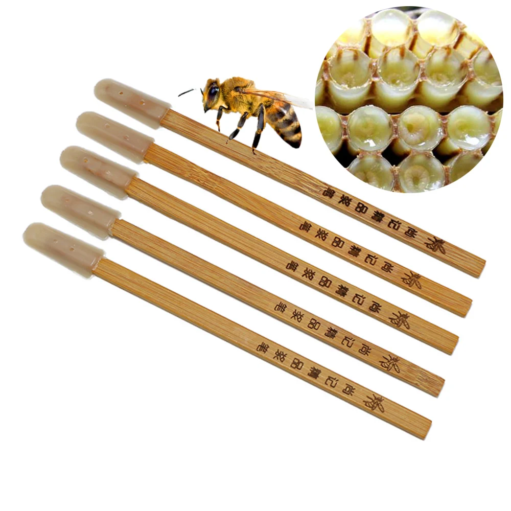 

Beekeepers New Type Scrape Bee Pulp Bamboo Pen Professional Bee Jelly Digging Pen Royal Jelly Pens Single Head Beekeeping Tool
