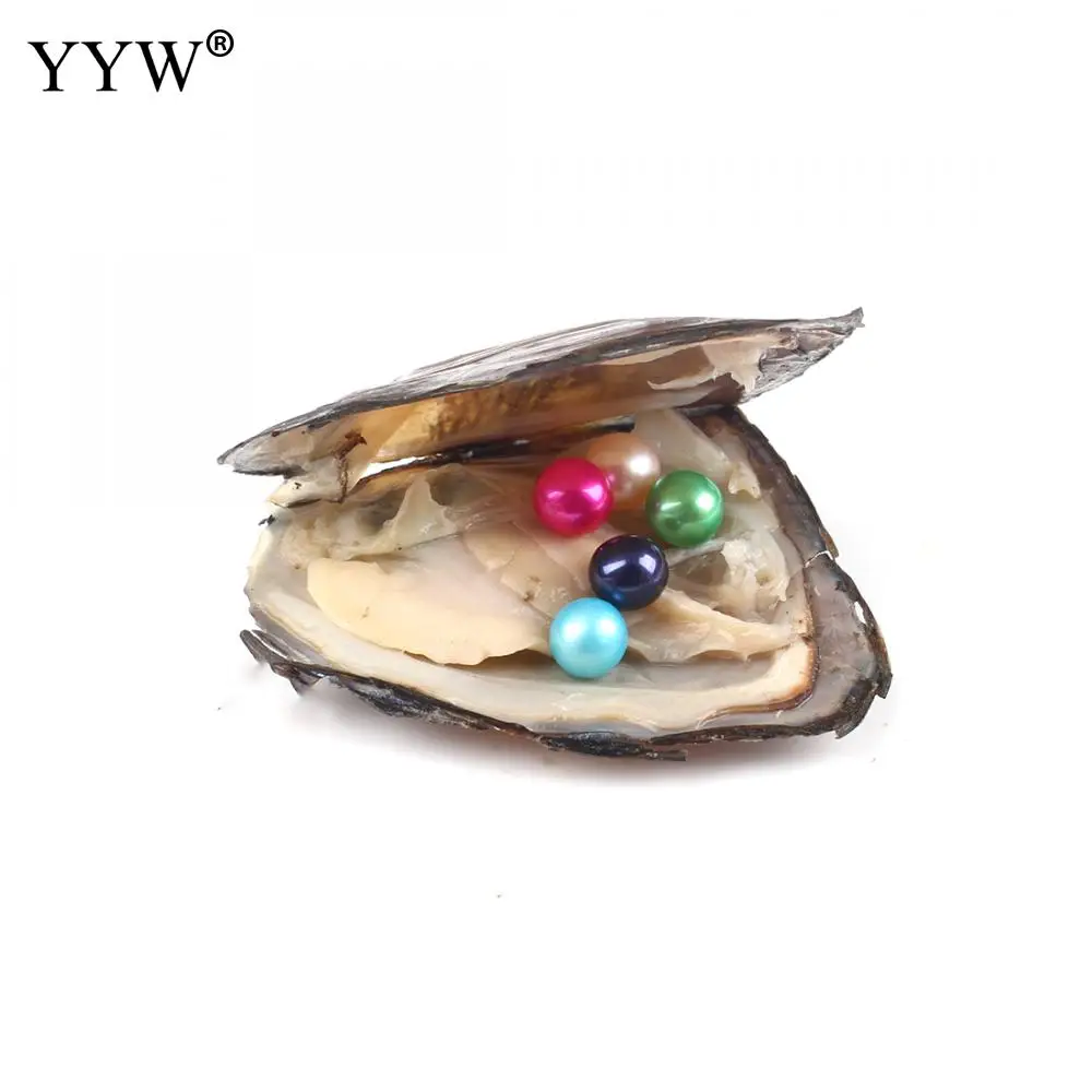 Новинка 5 шт./лот Эдисона жемчуга Oyster Pearl Mussel с 1 ожерельем многоцветные Размер 7-8