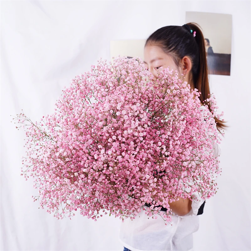 

Dekoration Natural Preserved Dry Flowers Gypsophila Paniculata Baby Breath Bouquets DIY For Wedding Celebration Gift Home Rosas