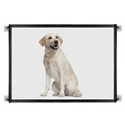 Портативные складные сетчатые ворота для собак, выдвижная защита, Экстра Широкий внутренний и наружный питомец