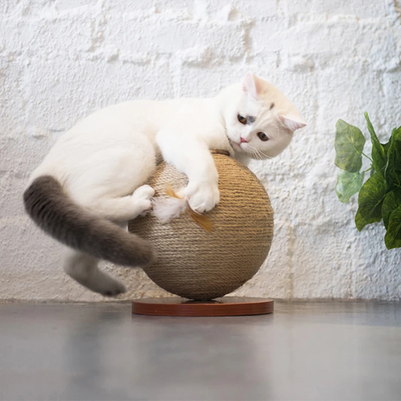Rotating Globe Cat Scratch Post Scratching Board For Climbing Wood Toy Tree Toys Pet Furniture Protactions | Дом и сад