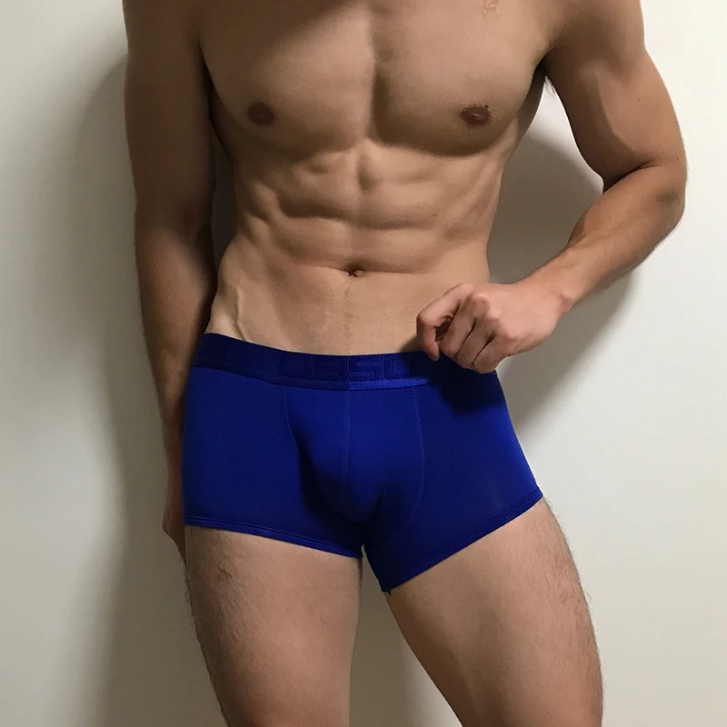 ORLVS брендовые боксеры Для мужчин сетка u образный мешочек сексуальное нижнее