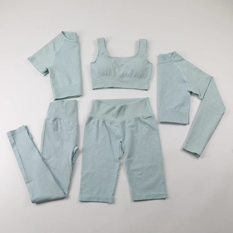 

Ribbed Yoga Clothing Sport Suits Women Sports Outfit Fitness Shorts Sets Short Sleeve Workout Sportswear Seamless Gym Clothes