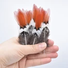 Натуральные перья фазана Amherst для рукоделия, 5-30 см2-12 дюймов, перья для рукоделия для украшения одежды, украшения, карнавальный Топ