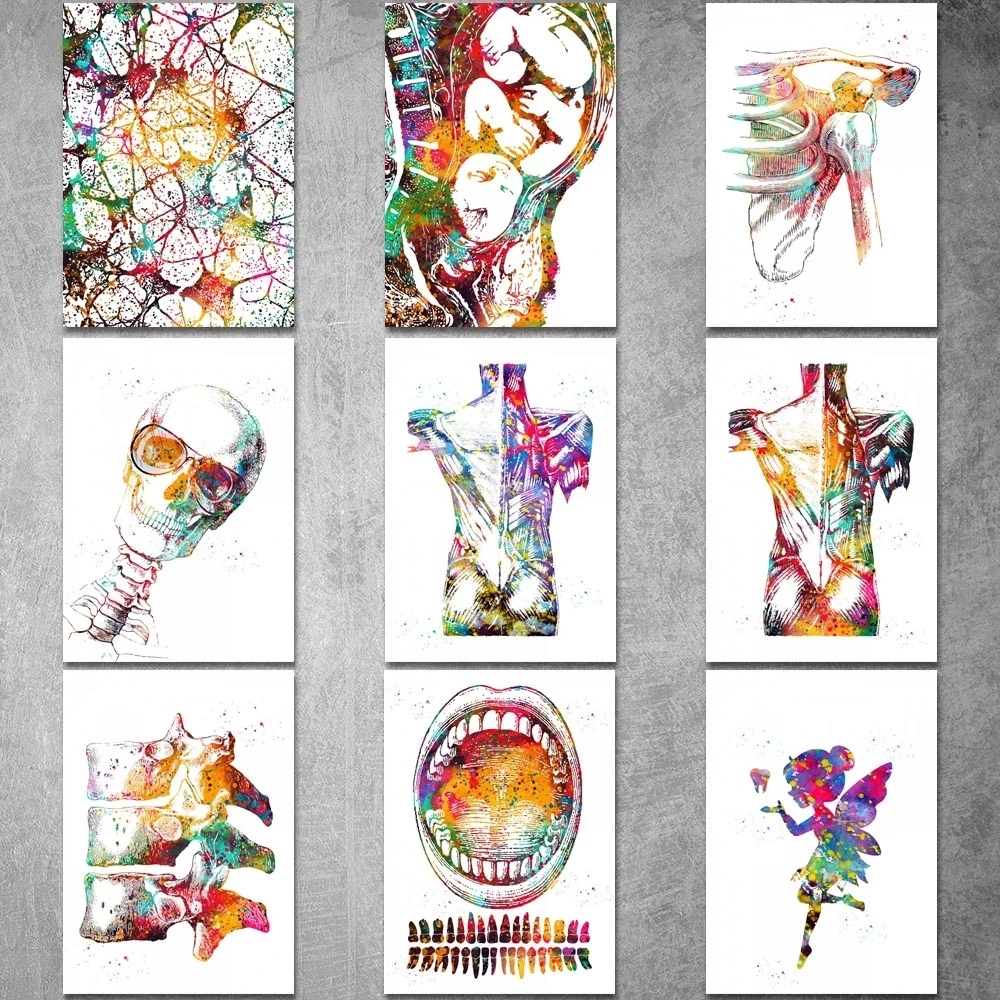

Home Decor Painting Thoracic Vertebrae Canvas Watercolor Hd Print Poster Wall Art Modular Picture Bedroom Background No Frame