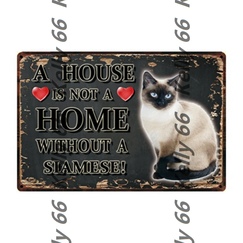 [Kelly66] оловянный плакат с изображением домашних животных кошек оцикатов сиамской