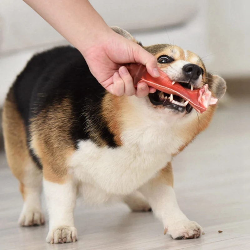 Хит продаж неразрушаемая жевательная игрушка для домашних питомцев