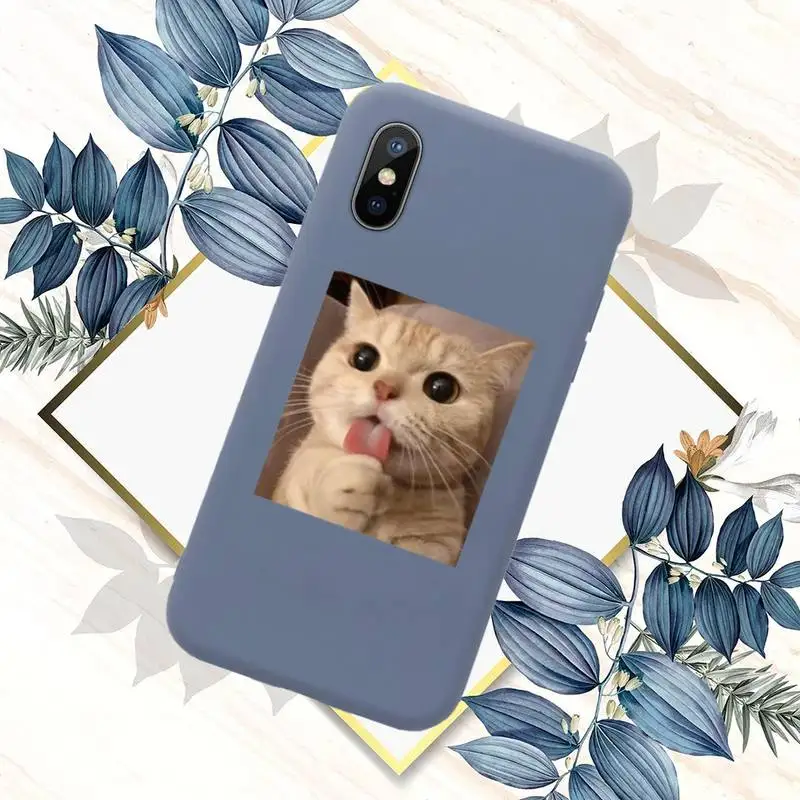 

Cute cat funny Phone Case Candy Color for iPhone 11 12 mini pro XS MAX 8 7 6 6S Plus X SE 2020 XR