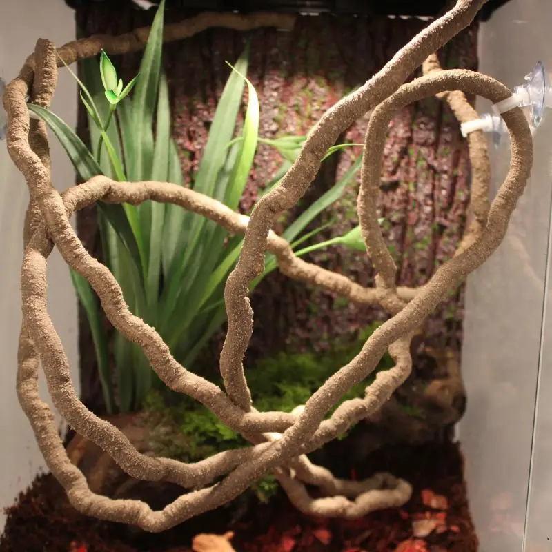 Натуральный ротанговый аквариум для рептилий цилиндр корневое растение