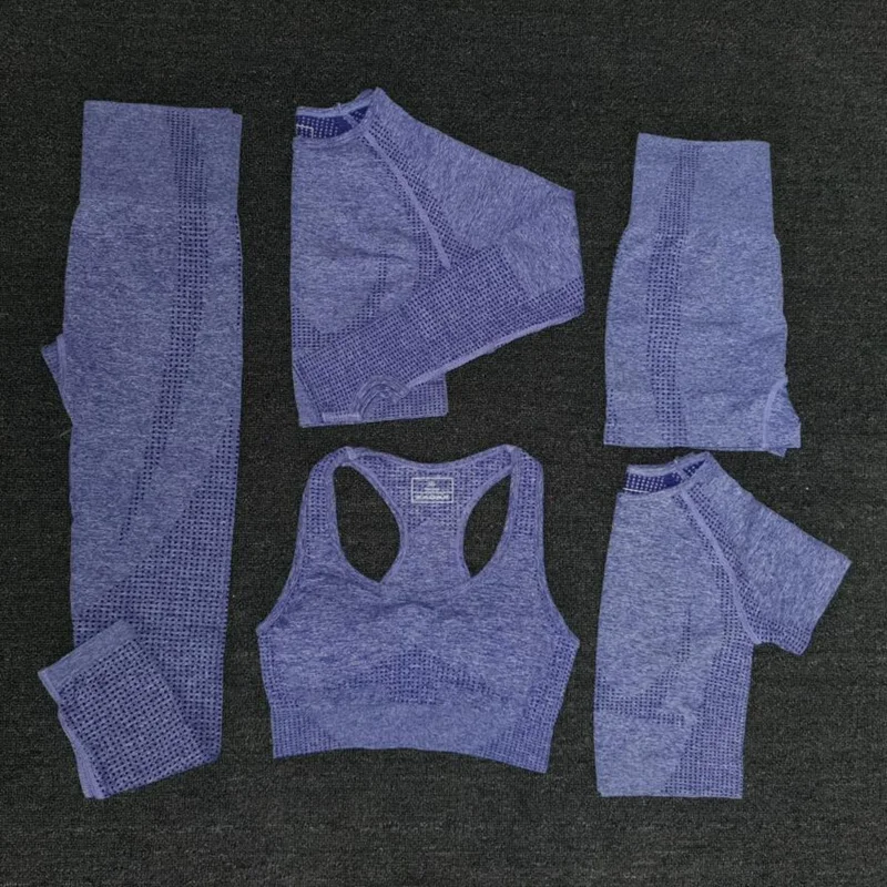 New 5 PCS Women Seamless Yoga Set Fitness Sports Suits GYM Clothing Yoga T-Shirts+High Waist Leggings+Bra+Shorts Workout Sets