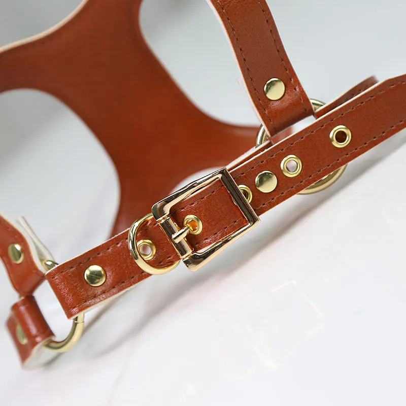 

Bright PU Leather Dog Harness and Leash Set Luxury Designer Dog Accessories for Small Dogs Puppy Collar French Bulldog Stuff