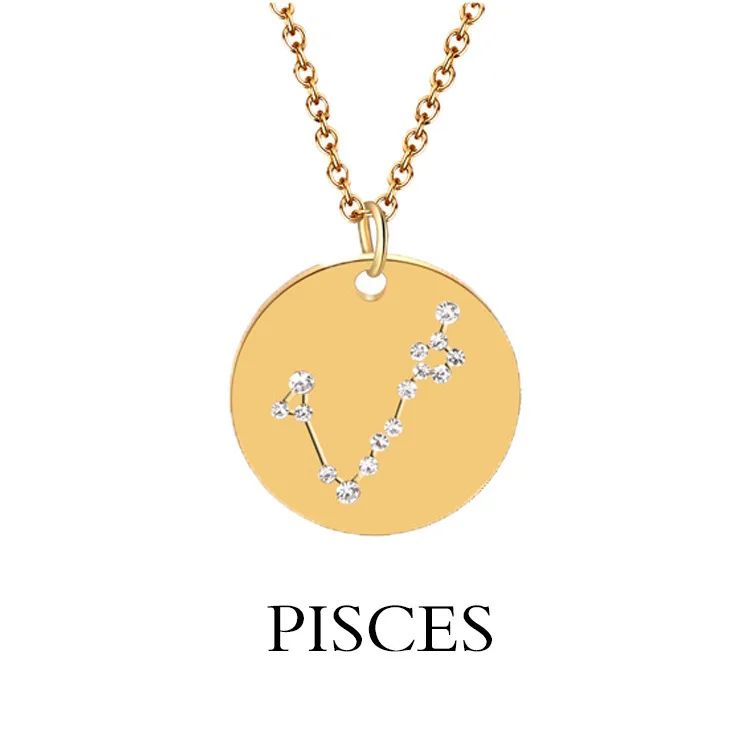 

Danesluecy 12 Zodiac Sign Pendants Stainless Steel Crystal Necklace for Women/men Lovers Jewelry