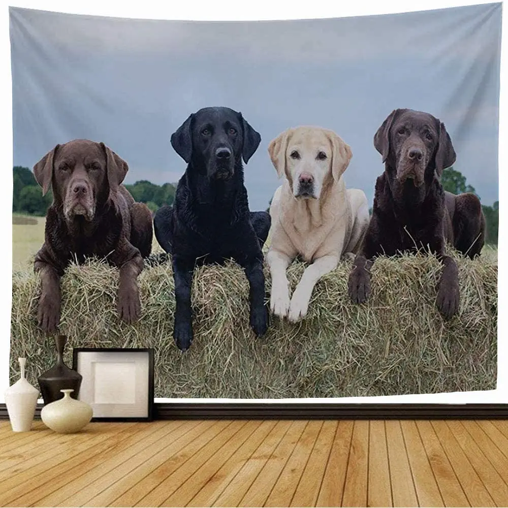 

Гобелен настенный коричневый, август, четыре Лабрадора на сене, животные, дикая природа, черный, зеленый, красивая собака, лабораторный гобе...