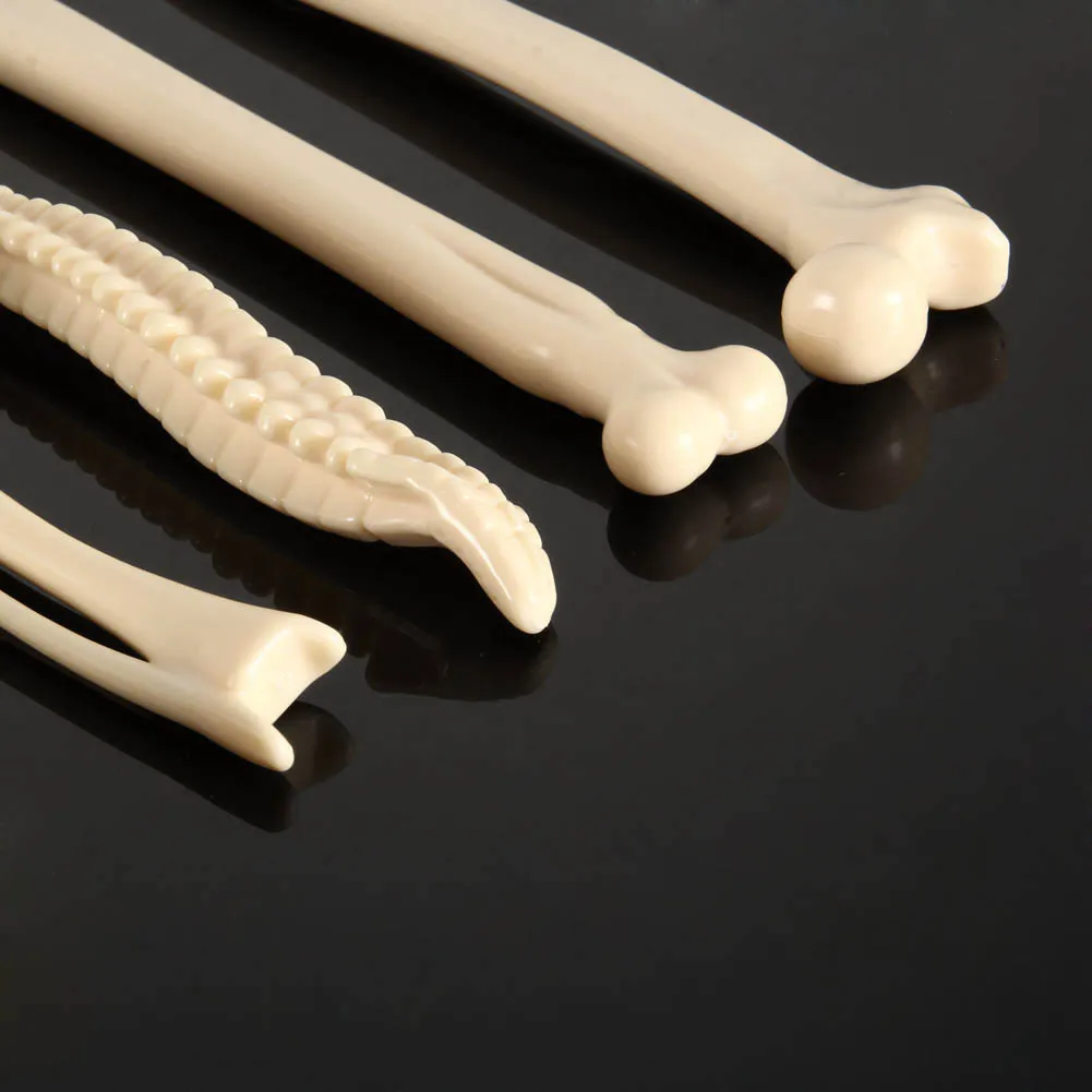 Writing Supplies 5Pcs Creative Bone Shape Ballpoint Pens New Gift Home Decoration School Office Stationery DC156 | Дом и сад