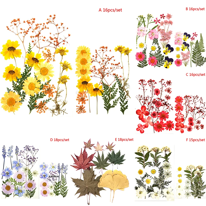 

21pcs Pressed Flower Mixed Dried Flowers DIY Art Floral Decors Collection Gift Craft DIY