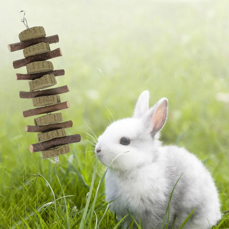 

Small Pet Snacks Chew Toys Organic Apple Sticks with Natural Grass Cake Chew Toys for Rabbits Chinchilla Guinea Pigs Hamsters
