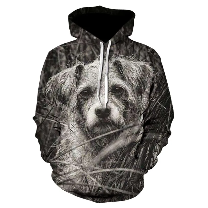 

New spring and autumn new animal dog print 3d men's and women's hoodies youth fashion sweatshirts street hip-hop long-sleeved
